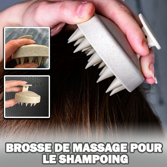 Brosse Capillaire & Soin/ShampooBrush TM